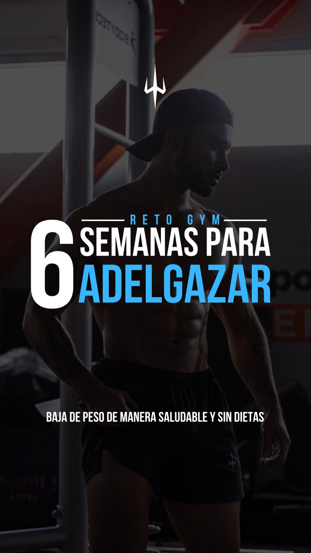 RETO BAJA DE PESO EN 6 SEMANAS (GYM)